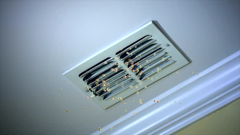 Best Air Duct Cleaning Company Near Me  in Youngstown, OH